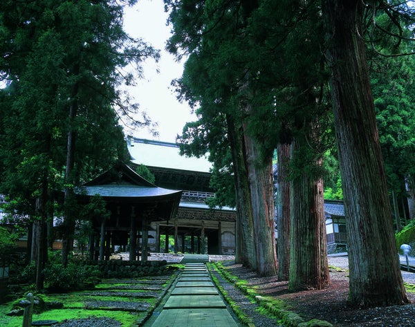 〈おひとり様参加限定〉シルバーウィークに行く!白山白川郷ホワイトロードと北陸の旅3日間3